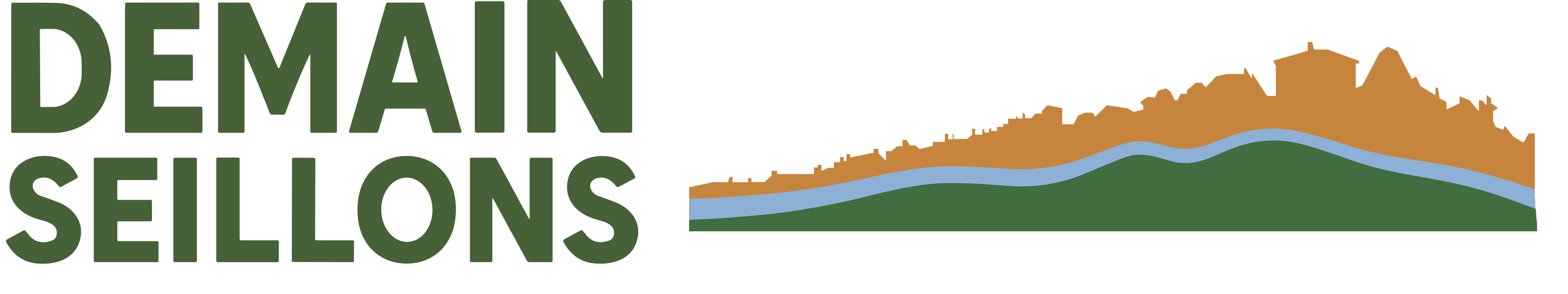 Seillons Participatif